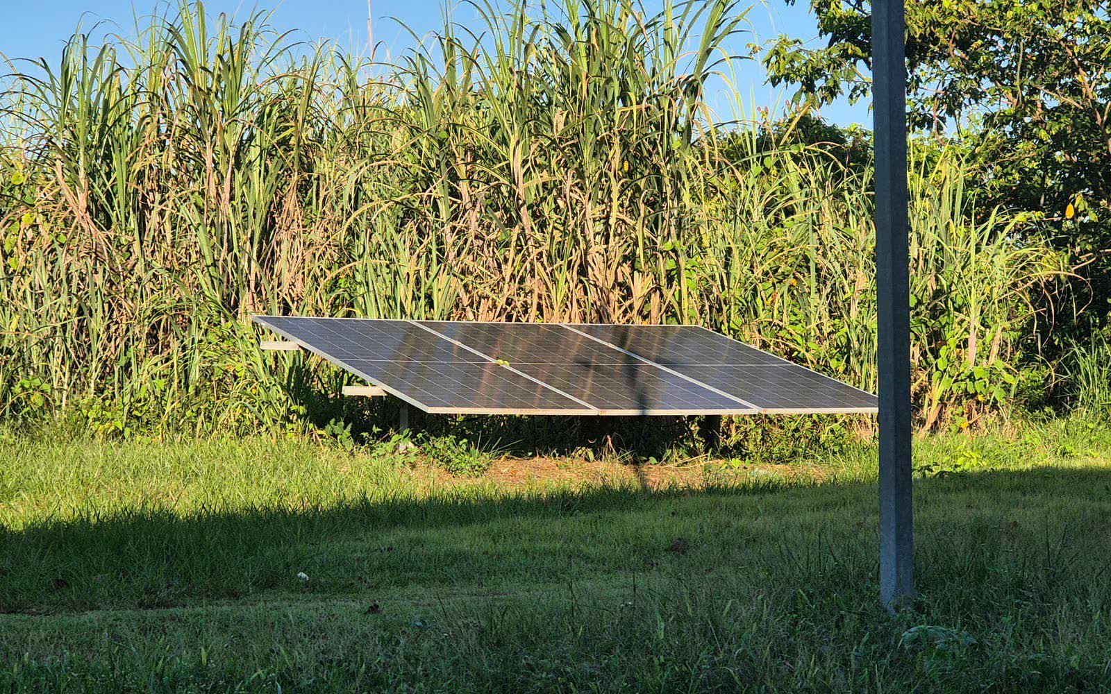 Sítio, fazenda e agronegócio