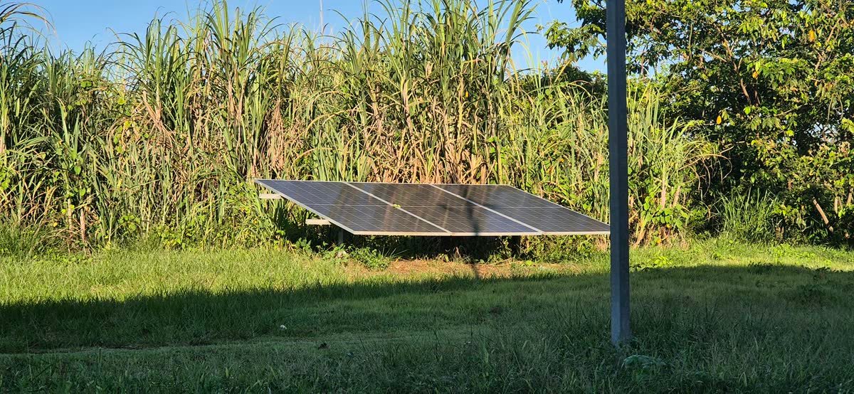 Mesa de módulos instalada em área de canavial